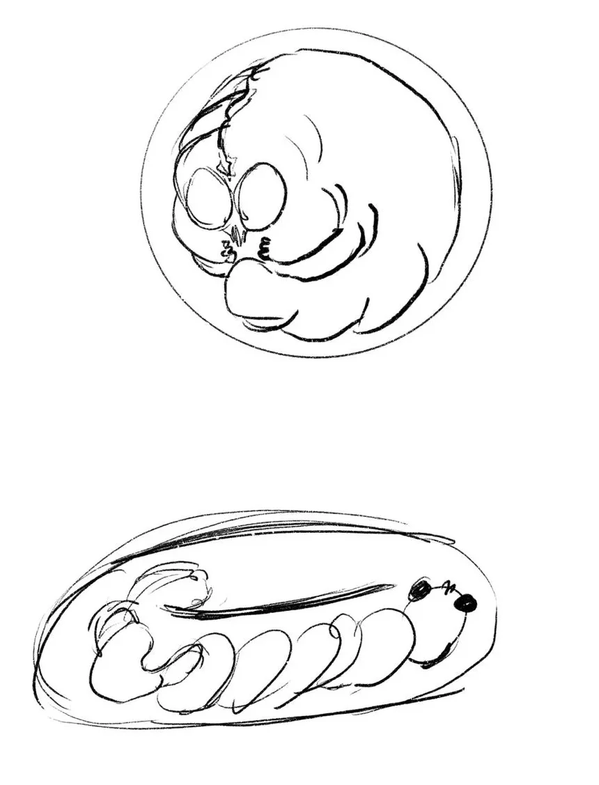 Design Friction image 6